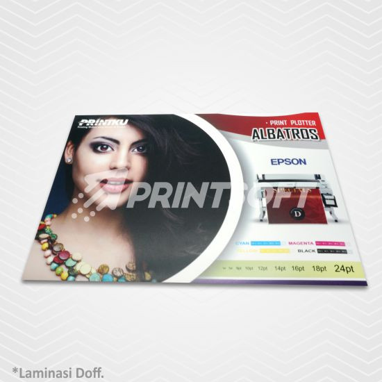 Print Albatros A2