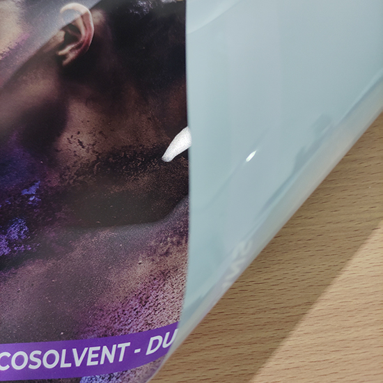 Print Indoor Duratrans