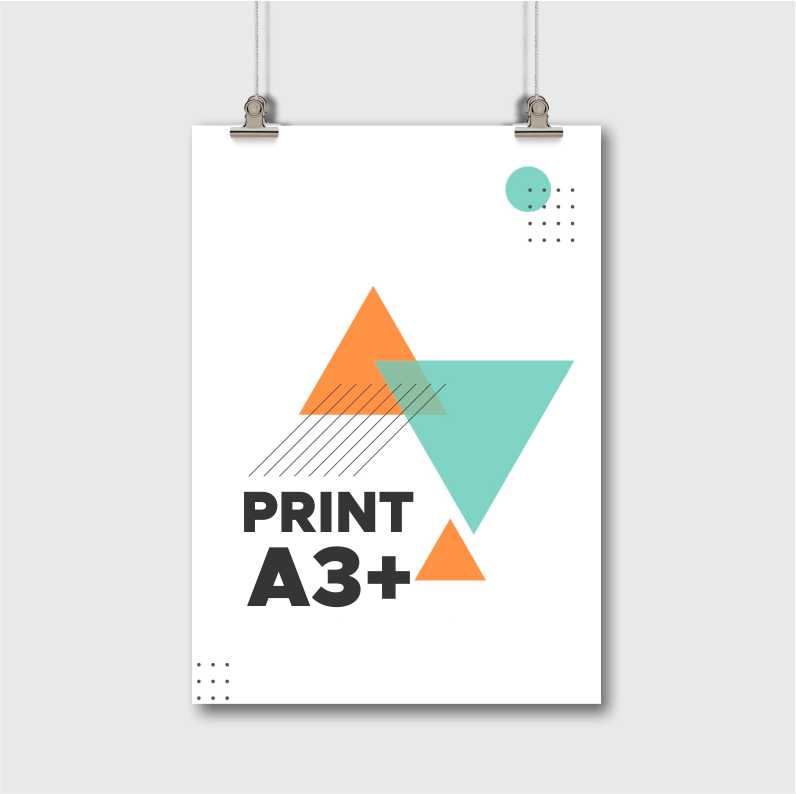 Print Laser A3+ 